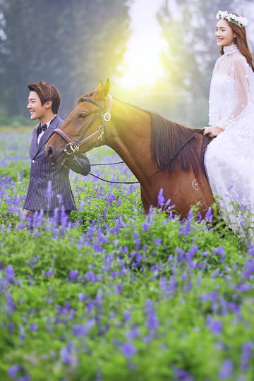 免费看一级毛片