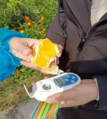 1638267519833490.png 20.png