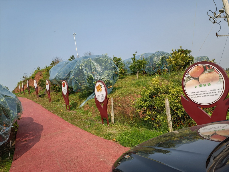 1642669511623214.png 8.png