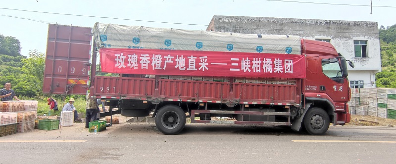 1650506142535284.jpg 三柑解決滯銷(xiāo).jpg